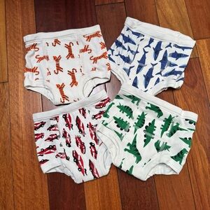 🐅 Hanna Andersson Training Underwear Set - XSmall - Mixed Prints 🦈🐊🏎️